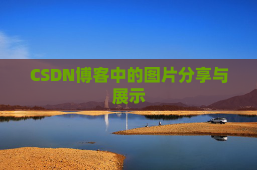 CSDN博客中的图片分享与展示